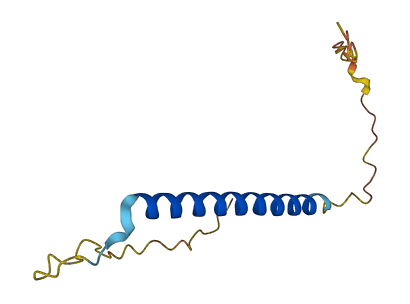 C1orf122 3D structure