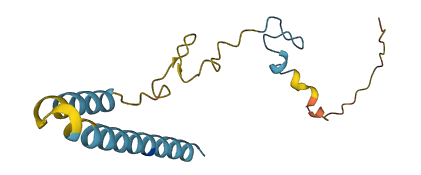 ZCCHC23 3D structure