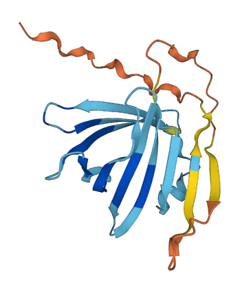 LCNL1 3D structure