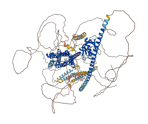 ARHGEF18 3D structure