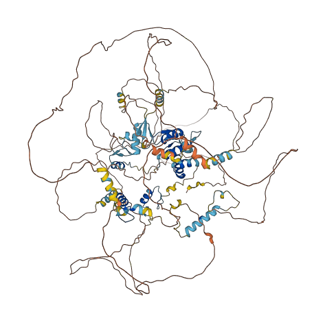 TSHZ1 3D structure