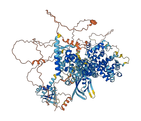 TBC1D9 3D structure