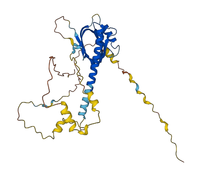 FAM43B 3D structure