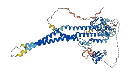 BARGIN 3D structure