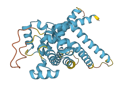 SLC25A48 3D structure
