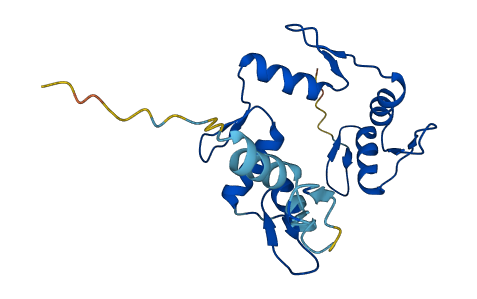 ZNF833P 3D structure