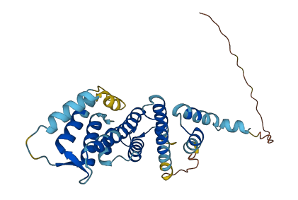 TPGS1 3D structure