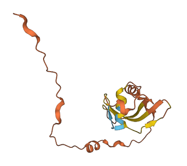 C7orf65 3D structure
