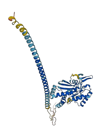 SEPTIN14 3D structure