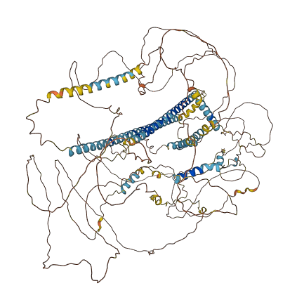 CRACD 3D structure