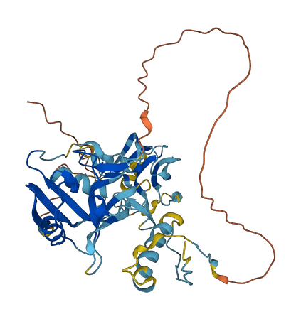CLEC20A 3D structure
