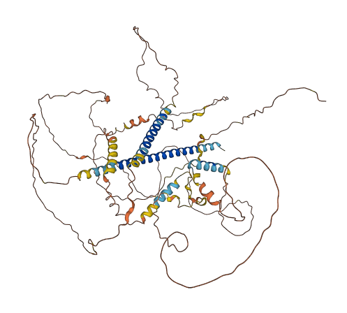 KIAA0408 3D structure