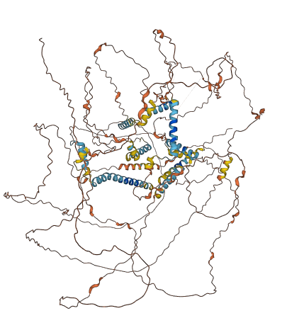 FAM205A 3D structure