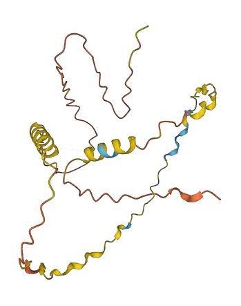 LINC00336 3D structure