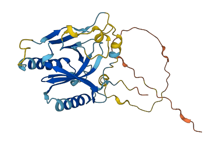 TPRG1 3D structure