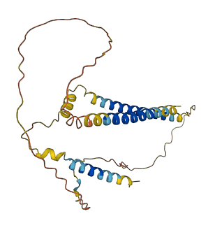 C3orf62 3D structure