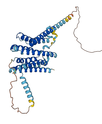 TMEM26 3D structure
