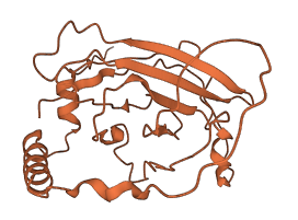C8orf86 3D structure