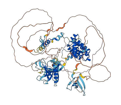 ARHGAP27 3D structure