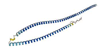 CCDC121 3D structure