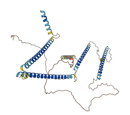 CCDC149 3D structure