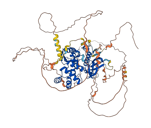 FRMD7 3D structure