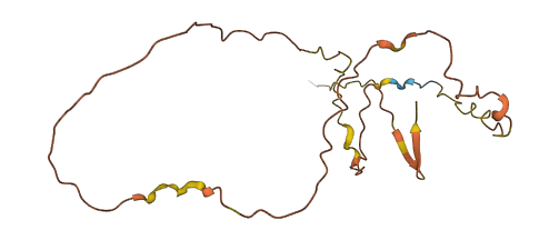 FOXL2NB 3D structure