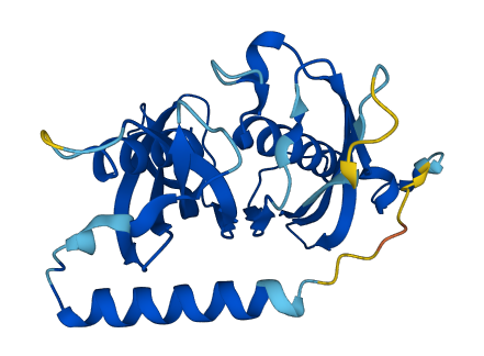 ACOT7L 3D structure