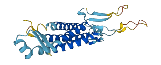 LHFPL2 3D structure