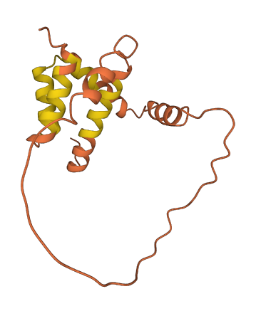 LINC00173 3D structure