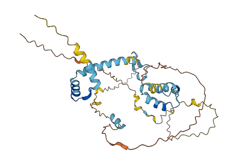 FAM47E 3D structure