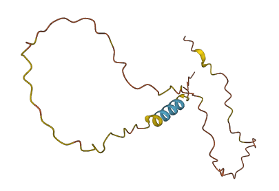 C2orf91 3D structure