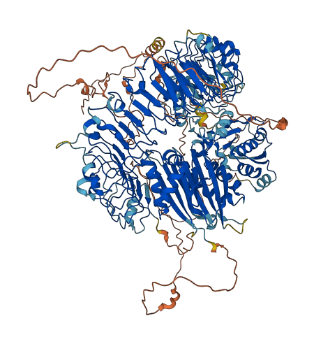 PHLPP2 3D structure