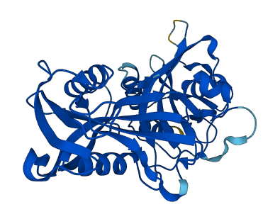 NUDT18 3D structure