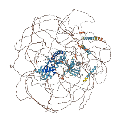 KIAA1549L 3D structure
