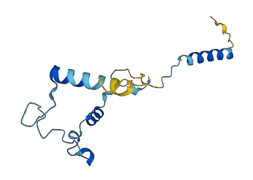 FAM183BP 3D structure