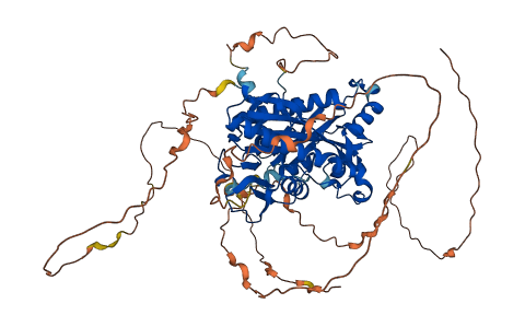 TTLL10 3D structure
