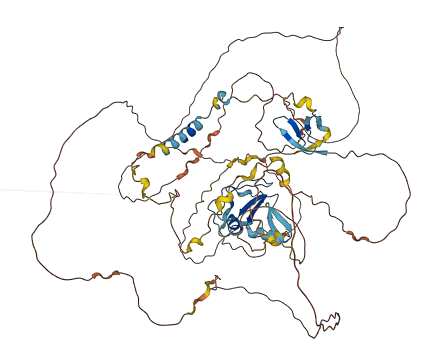 C3orf67 3D structure