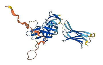 IL17REL 3D structure
