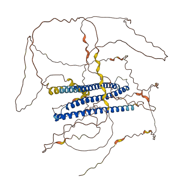 MICALCL 3D structure