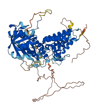 BBS12 3D structure