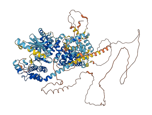 NEK10 3D structure