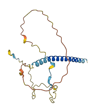 RHEX 3D structure