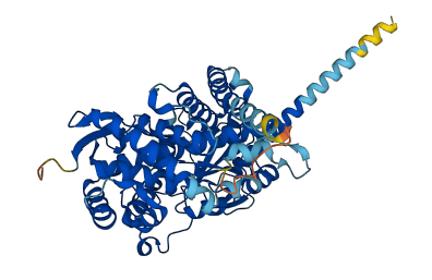 CYP4V2 3D structure