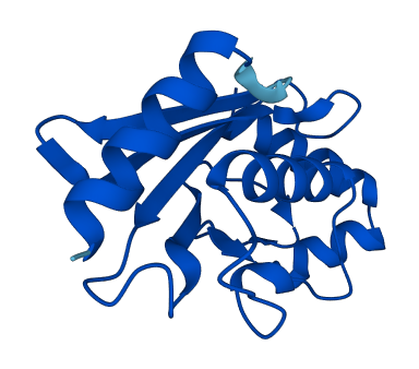 Ube2d2b 3D structure