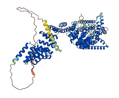 TMTC3 3D structure