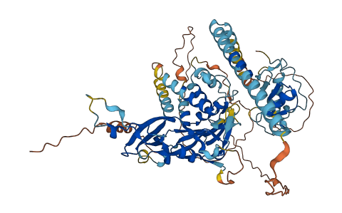USP49 3D structure