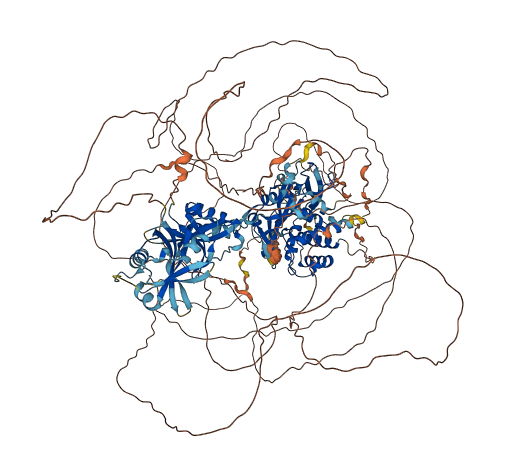USP31 3D structure