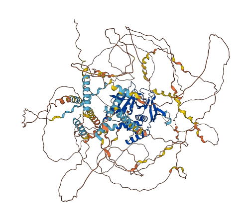 RAPH1 3D structure