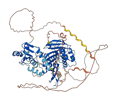 USP51 3D structure
